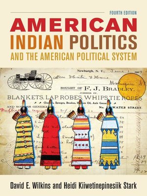 cover image of American Indian Politics and the American Political System